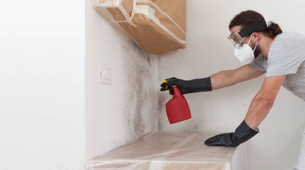 Professional Crawl Space Mold Remediation technician working in West Palm Beach, FL